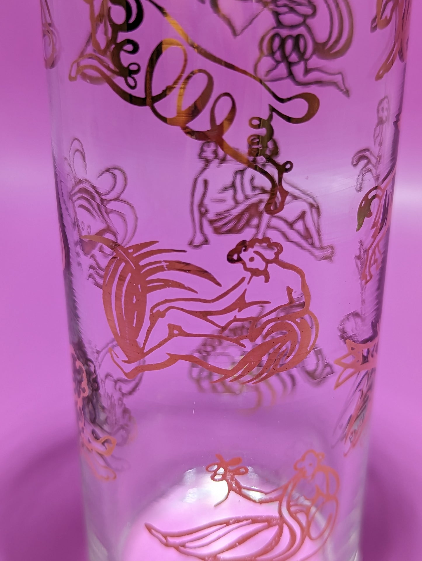 Pair of Vintage Zodiac Horoscope Highball Glasses